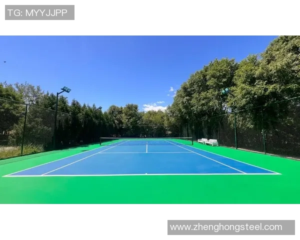 从零起步掌握网球技巧全方位指南助你成为网球高手